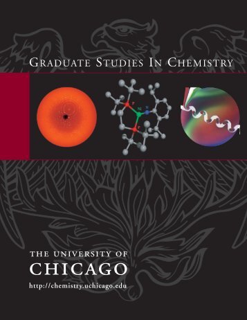 whole brochure (26 mb file) - Chemistry - University of Chicago