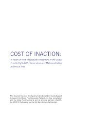 ICSS Cost of Inaction - International Civil Society Support