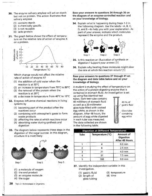 Salivary Amylase Digestion Of Starch Chart