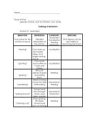 Animal Behaviors Worksheet