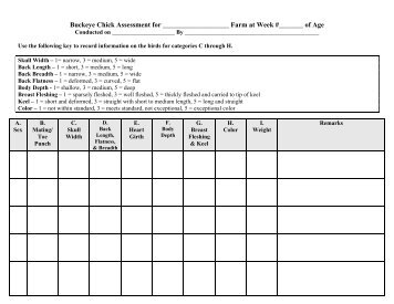 Chick Assessment Form