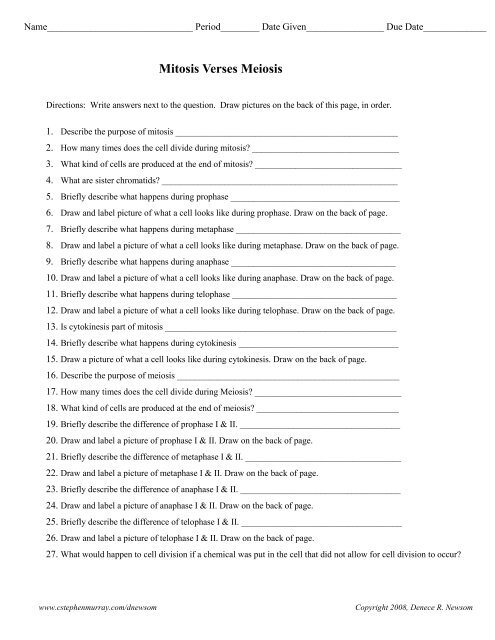 mitosis meiosis worksheet