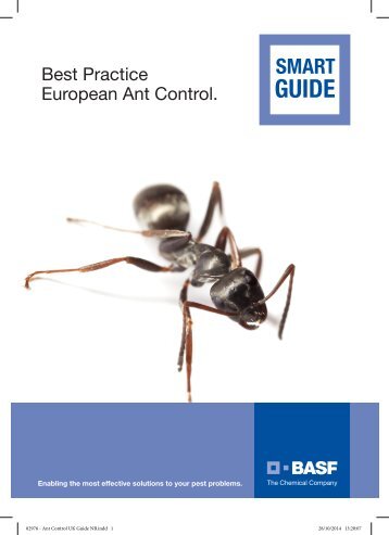 Ant Control Guide - Pest Control Management - BASF