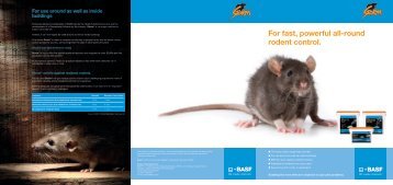 Storm Secure Leaflet - Pest Control Management - BASF