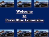 Paris Blue Limousine