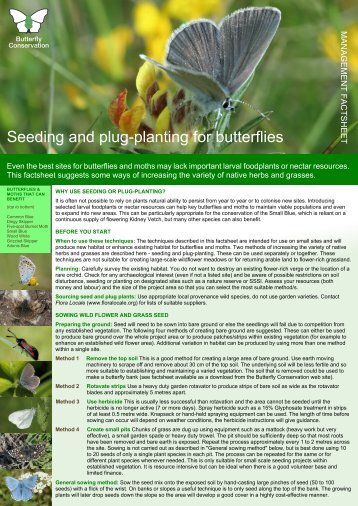 Seeding Plug Planting FINAL - Butterfly Conservation Warwickshire