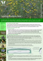 Download pdf - Butterfly Conservation Warwickshire