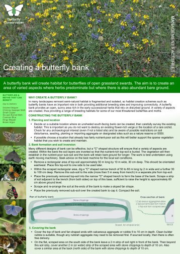 Download pdf - Butterfly Conservation Warwickshire