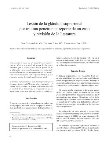 LesiÃ³n de la glÃ¡ndula suprarrenal por trauma ... - SciELO Colombia