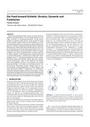 Die Feed-forward-Schleife
