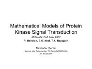 Eigenschaften von MAP-Kaskaden