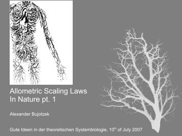 Allometric Scaling Laws In Nature pt. 1