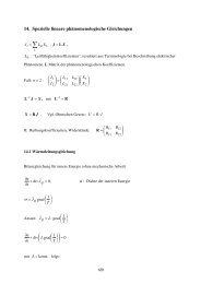 Vorlesung 14: Spezielle lineare phänomenologische Gleichungen
