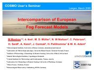 Intercomparison of European Fog Forecast Models - Cosmo
