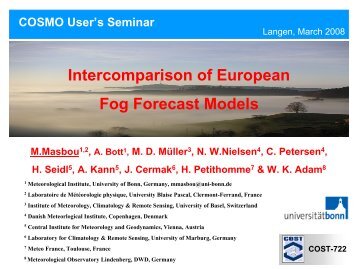 Intercomparison of European Fog Forecast Models - Cosmo