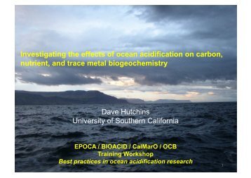 Hutchins et al. 2007 - BIoAcid