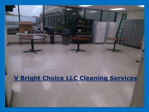 V Bright Choice LLC Cleaning Services