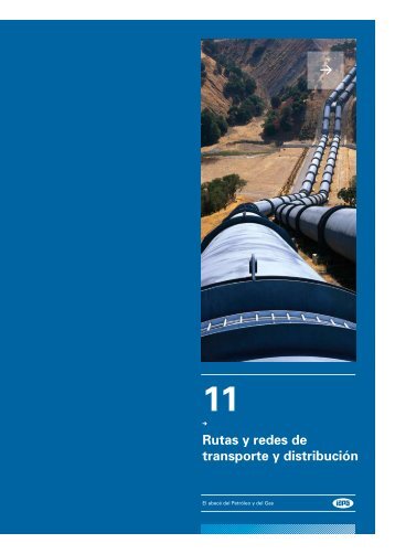 Capitulo 11 - Cámara Argentina del Gas Natural Comprimido