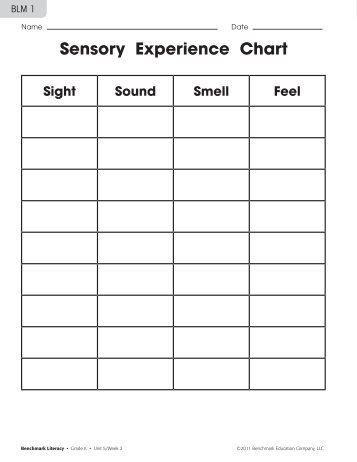 Sensory Experience Chart - Benchmark Resources