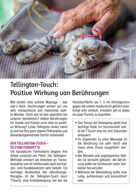 BESTE KUMPELS MAGAZIN für Tierfreunde im Revier