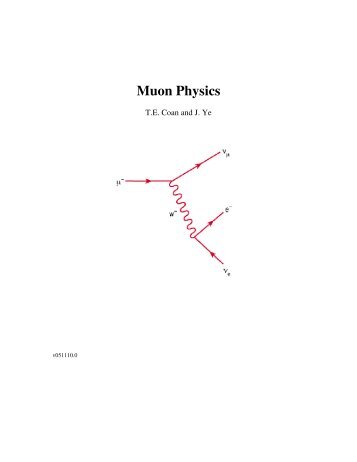 Muon Physics