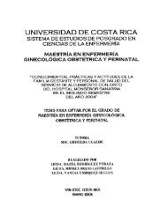 tesis para optar por el - Universidad de Costa Rica