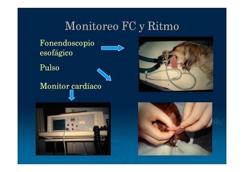 Monitoreo Rovati