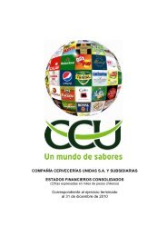 INFORME SVS DICIEMBRE 2010 - CCU Investor