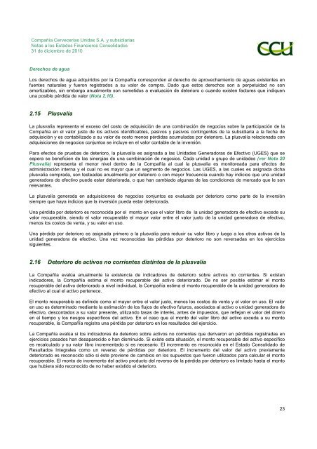 INFORME SVS DICIEMBRE 2010 - CCU Investor