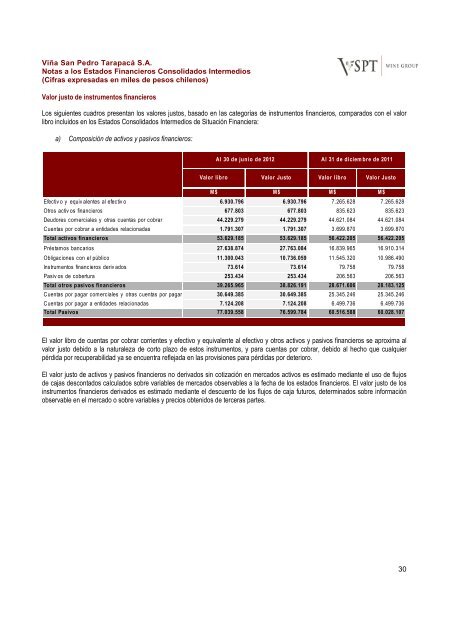 Financial Statements ViÃ±a San Pedro TarapacÃ¡ June ... - CCU Investor