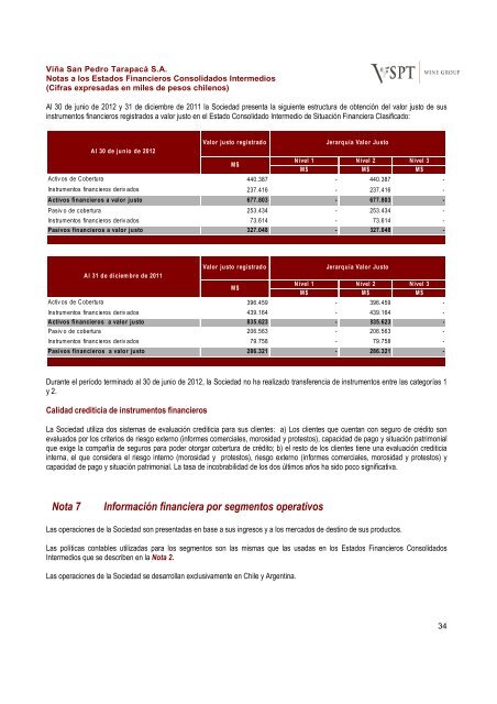 Financial Statements ViÃ±a San Pedro TarapacÃ¡ June ... - CCU Investor