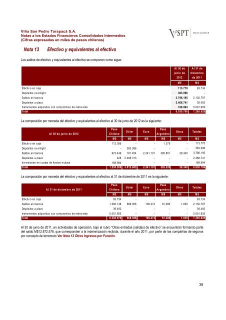 Financial Statements ViÃ±a San Pedro TarapacÃ¡ June ... - CCU Investor