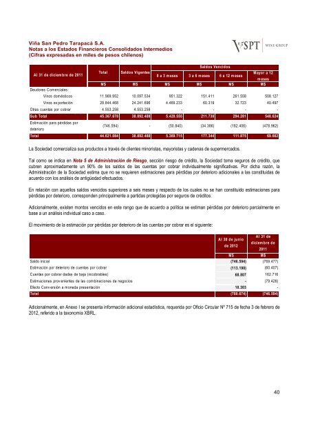 Financial Statements ViÃ±a San Pedro TarapacÃ¡ June ... - CCU Investor