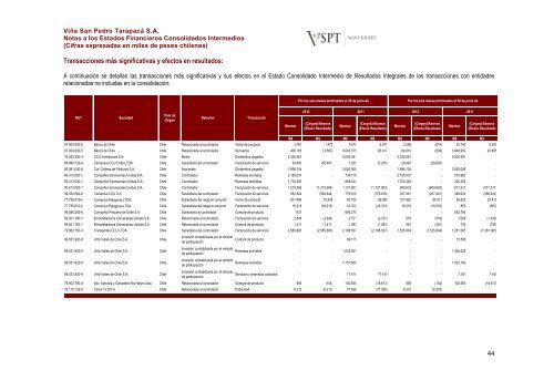 Financial Statements ViÃ±a San Pedro TarapacÃ¡ June ... - CCU Investor