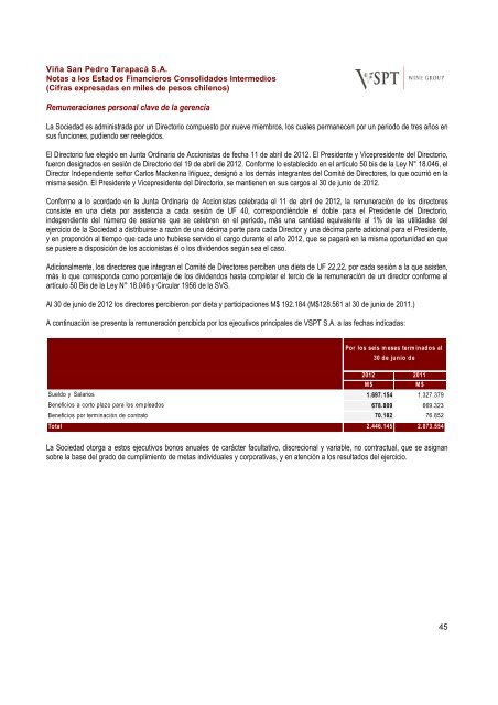 Financial Statements ViÃ±a San Pedro TarapacÃ¡ June ... - CCU Investor