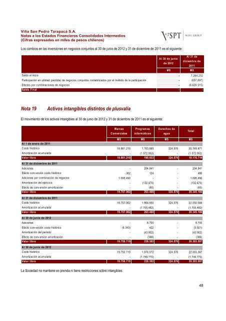 Financial Statements ViÃ±a San Pedro TarapacÃ¡ June ... - CCU Investor