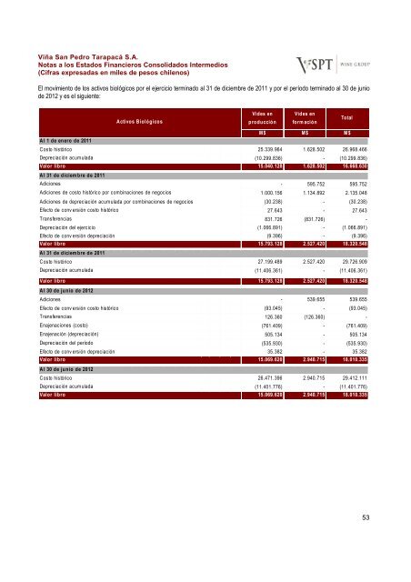 Financial Statements ViÃ±a San Pedro TarapacÃ¡ June ... - CCU Investor