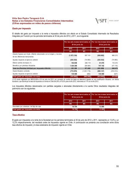 Financial Statements ViÃ±a San Pedro TarapacÃ¡ June ... - CCU Investor