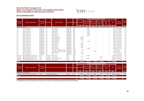 Financial Statements ViÃ±a San Pedro TarapacÃ¡ June ... - CCU Investor