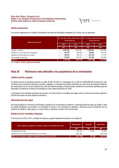 Financial Statements ViÃ±a San Pedro TarapacÃ¡ June ... - CCU Investor