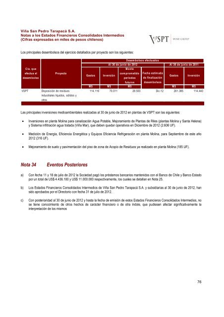 Financial Statements ViÃ±a San Pedro TarapacÃ¡ June ... - CCU Investor