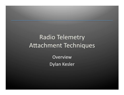 Radio Telemetry Attachment Techniques - Animal Migration ...