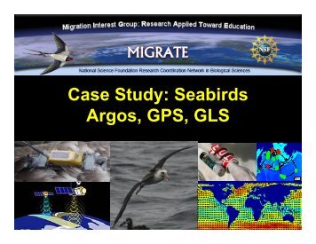 Case Study: Seabirds Argos, GPS, GLS - Animal Migration ...