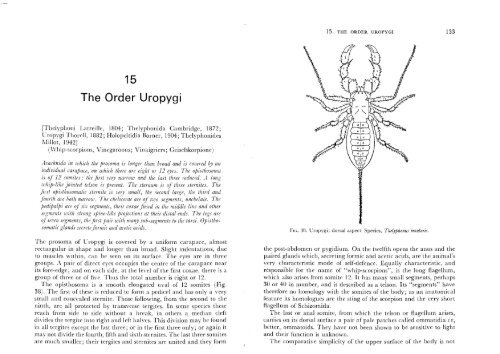 Savory - Arachnida 1977