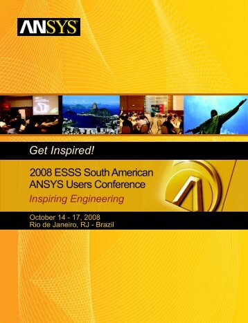 at the 2008 ESSS South American ANSYS Users Conference.