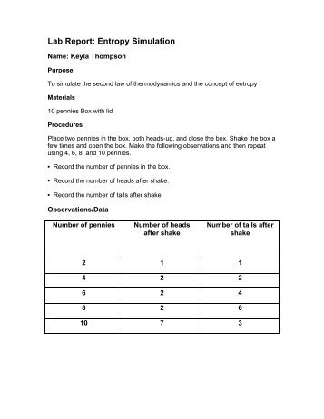 Lab Report: Entropy Simulation - The Oakwood School