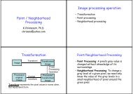 Point / Neighborhood Processing Image processing operation ...