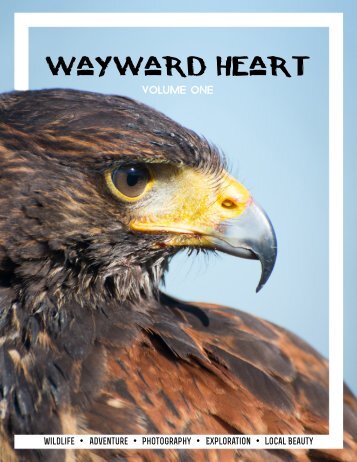 Wayward Heart