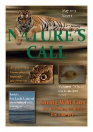 Saving Wild Cats