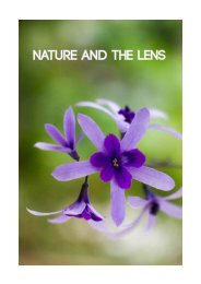 Nature and the Lens